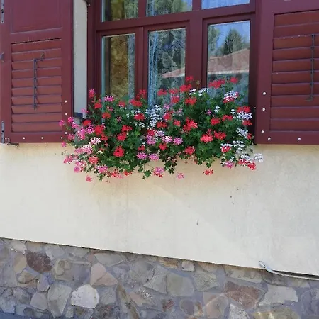 Privatunterkunft Roza Brașov