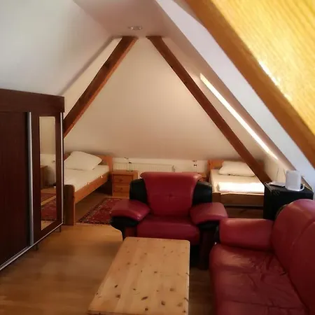 Roza Homestay Brasov