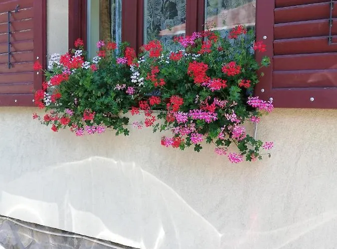 Quarto em Acomodações Particulares Roza *