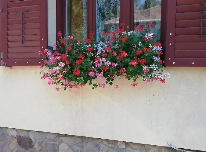 Privat bolig Roza Braşov